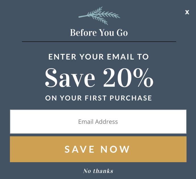 coupon_popup.png