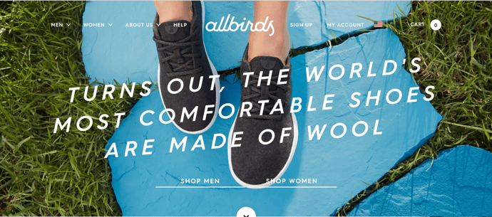 allbirds hero image.png