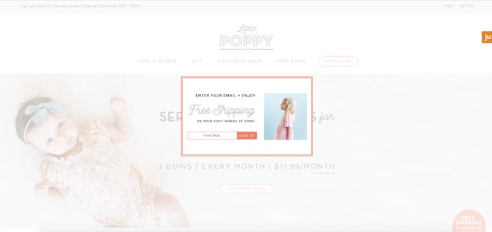 little-poppy-co-ecommerce-promotion.png
